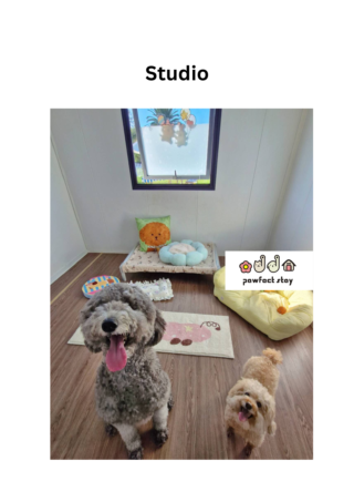 Studio1 (42 x 59.4 cm) (2)