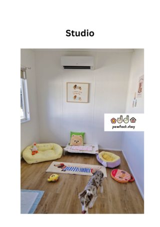 Studio2 (42 x 59.4 cm) (3)