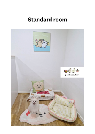 standard2 (42 x 59.4 cm) (1)