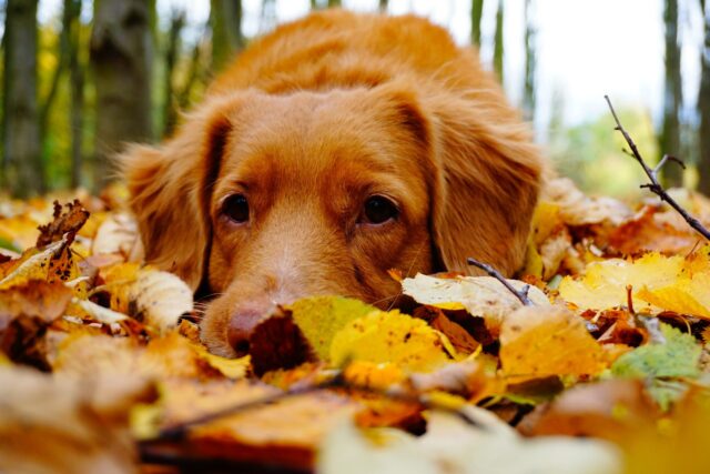 Seasonal change – what should we watch out for?