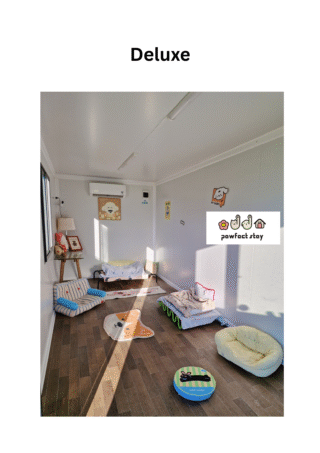 Deluxe Room Photos