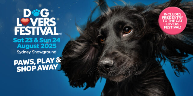 Pawfect Stay is Heading to the Dog Lovers Festival!