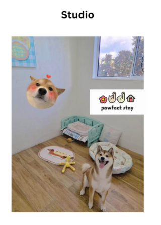 Studio3